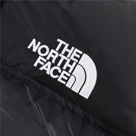 THE NORTH FACE / 1996 Classic Down Jacket Highest version! - 图片 3