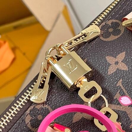 Speedy Bandoulière 25 Bag - 图片 6