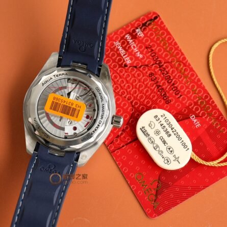 The Omega Seamaster Aqua Terra Worldtimer has been a popular - 图片 8