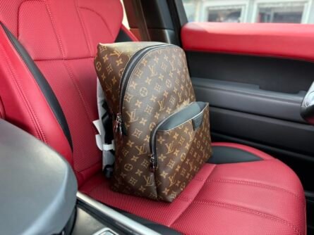 “Louis Vuitton” lv shoulder bag M43186 DISCOVERY Louis Vuitton - 图片 2