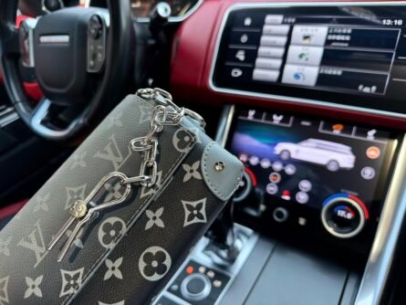 “Louis Vuitton” lv shoulder bag Louis Vuitton shoulder bag M11543 - 图片 6
