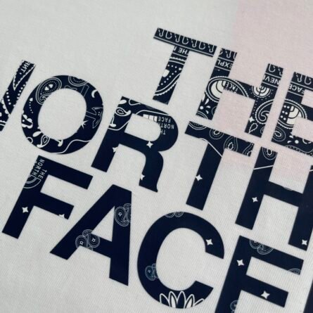 2025 New The North Face Couple Short Sleeve Tee for Men and Women - 图片 10