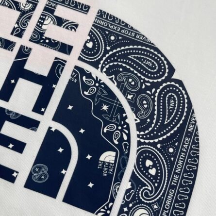 2025 New The North Face Couple Short Sleeve Tee for Men and Women - 图片 11